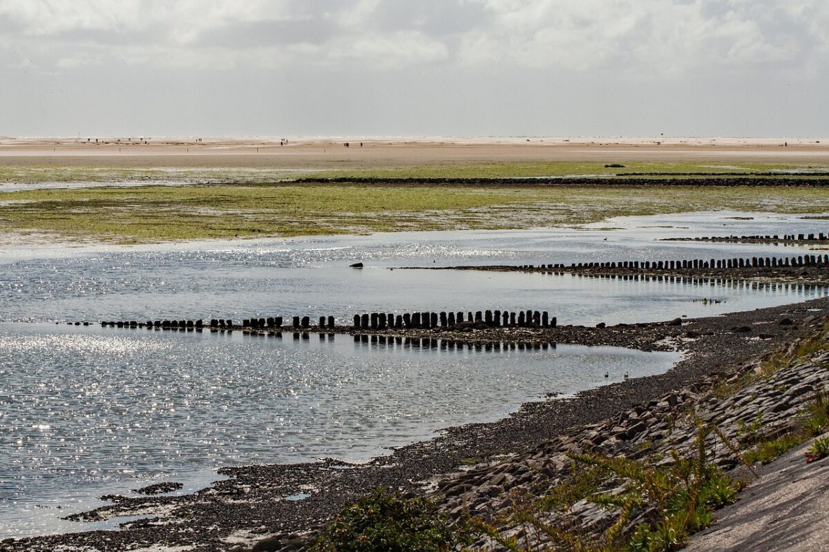 Dank an Angela via pixaby